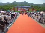 青島專(zhuān)業(yè)慶典禮儀策劃服務(wù) 點(diǎn)亮城市盛會(huì)，演繹品牌魅力